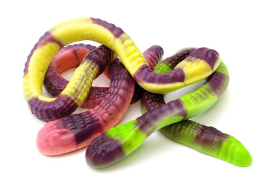 Anaconda Maxi