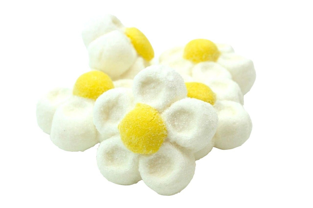 Margherite Bianche Marshmallow