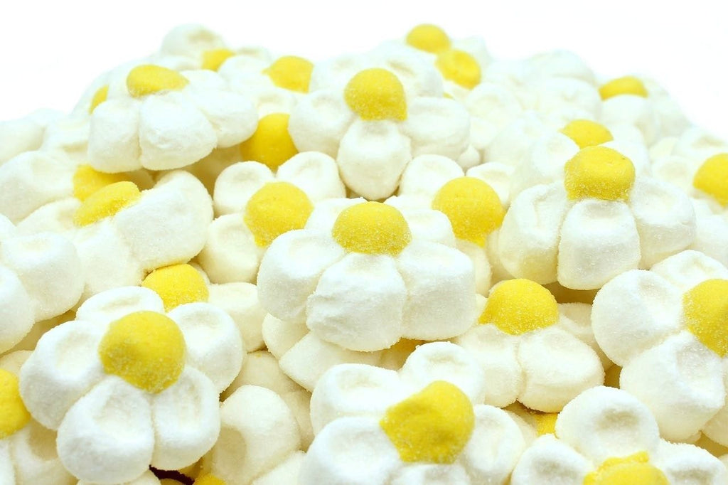 Margherite Bianche Marshmallow